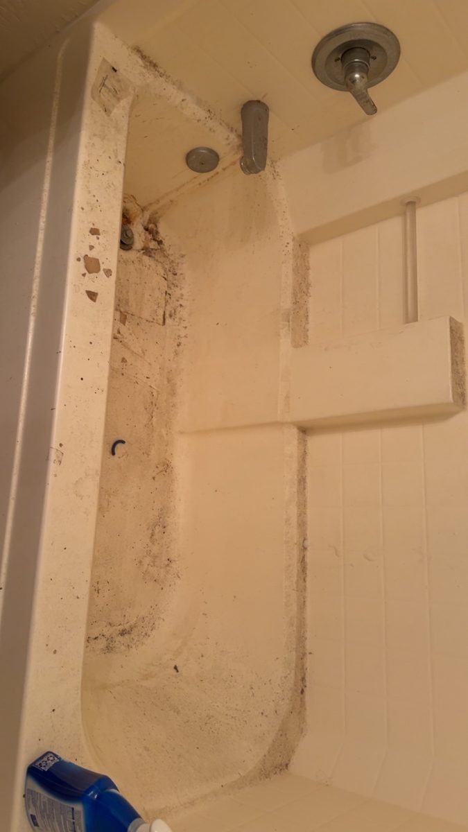 Bathtub and surround before cleaning